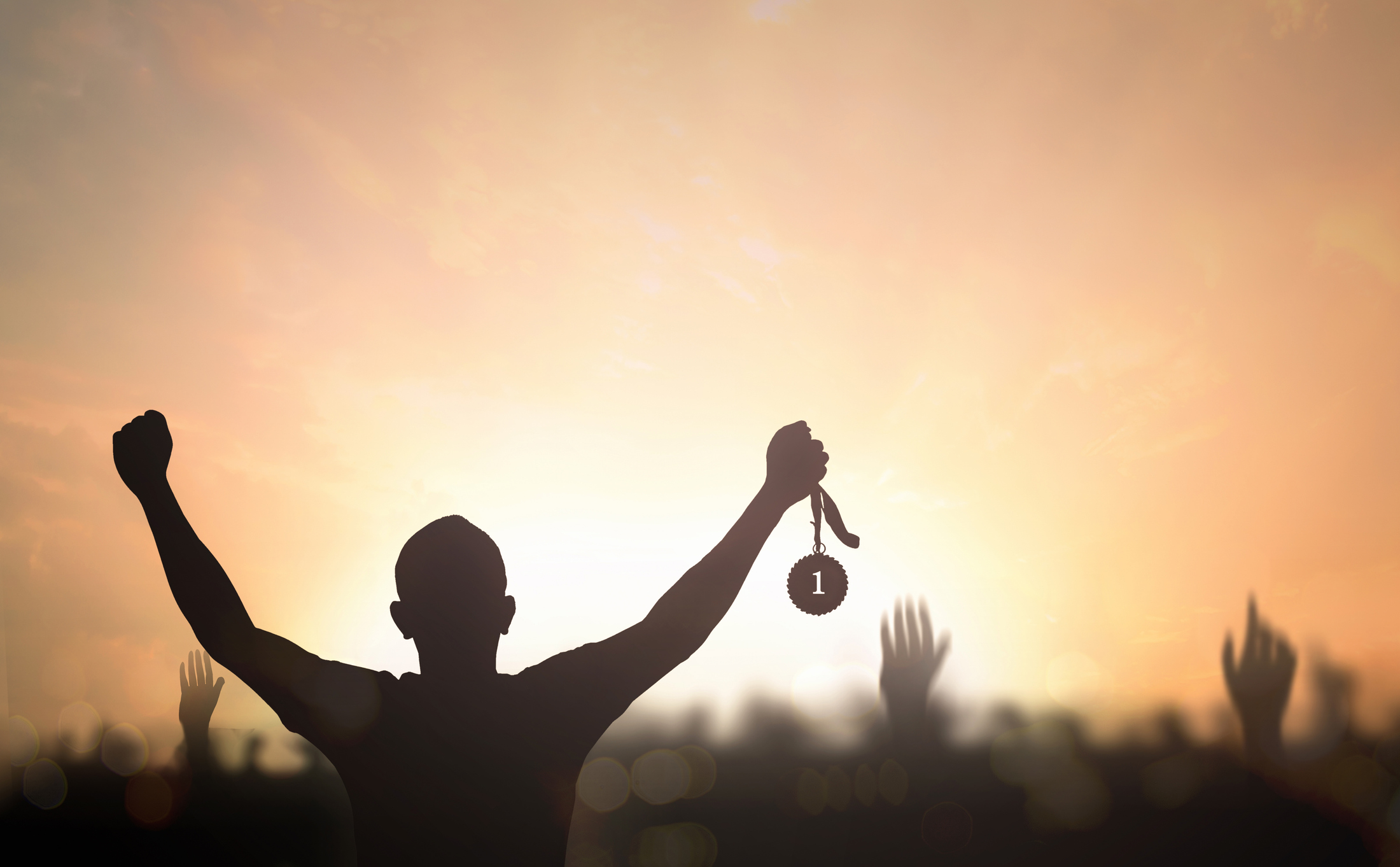 Sports Mental Performance Therapy